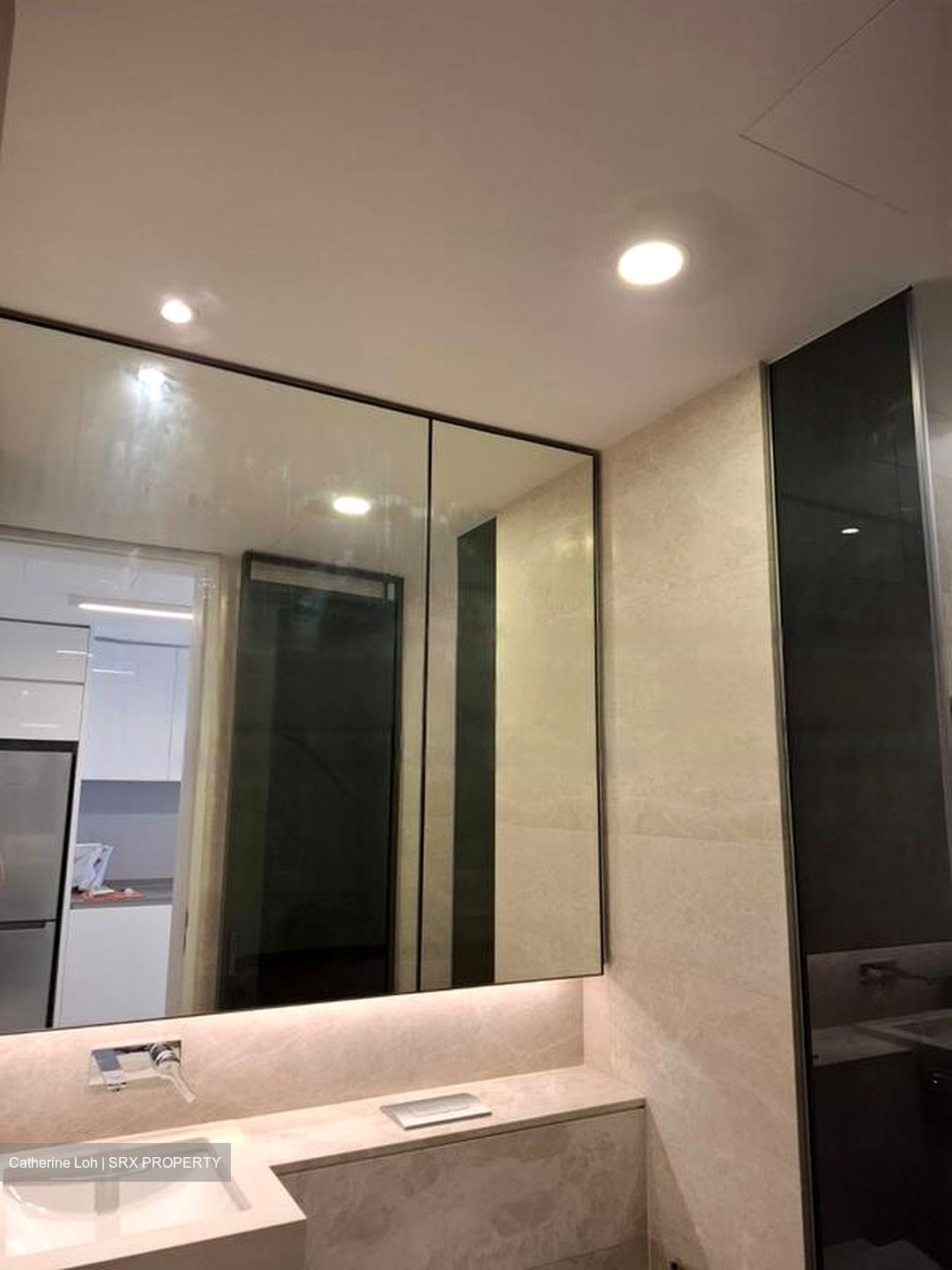 Amber Park (D15), Condominium #453350951
